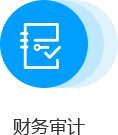 財(cái)務(wù)審計(jì)