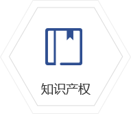 知識(shí)產(chǎn)權(quán)